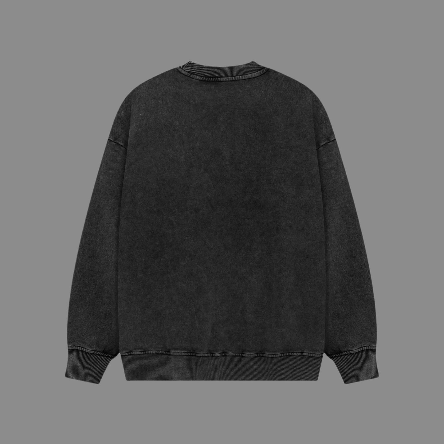BLCG 2025 Men's and Women's long-sleeved T-shirt